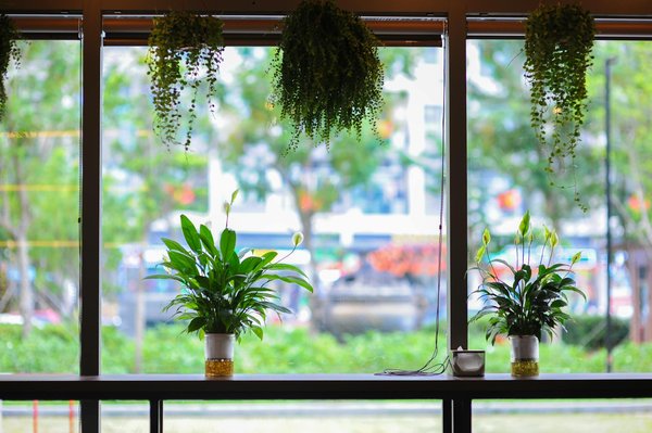 Améliorez la qualité des travaux grâce à notre modèle paq/sopaq