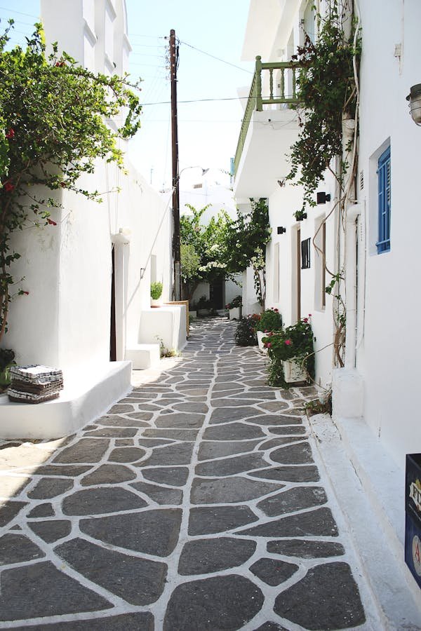 Enduits chaux : la solution idéale pour un intérieur sain